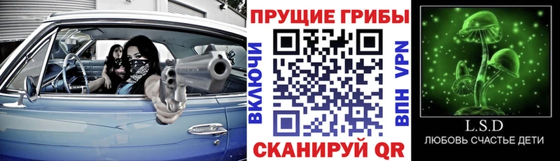 Псилоцибиновые грибы Cubensis  Змеиногорск 